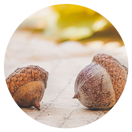 ></span><span class=