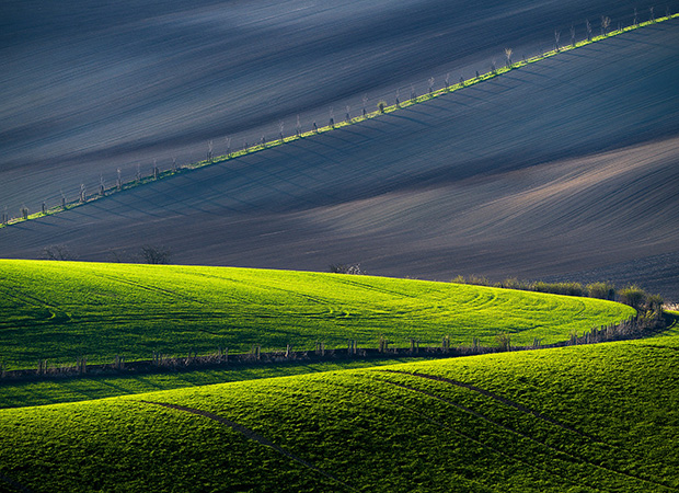 We envision a future where democracy thrives, communities are empowered, and every citizen enjoys economic stability, social justice, and equal opportunities. Our goal is to make lasting changes that benefit future generations.