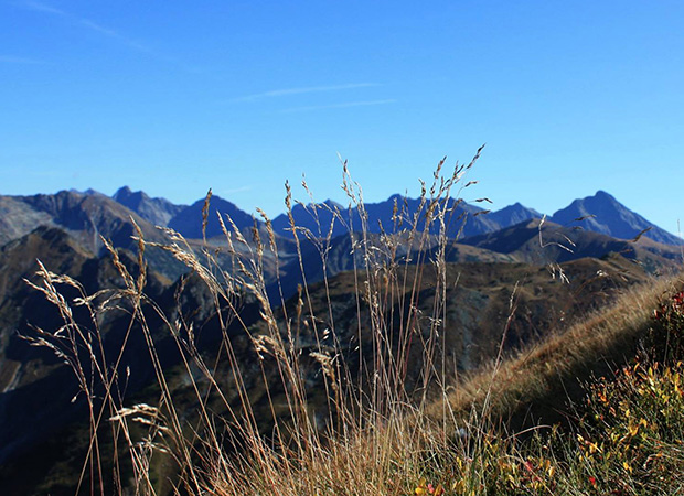 We envision a future where democracy thrives, communities are empowered, and every citizen enjoys economic stability, social justice, and equal opportunities. Our goal is to make lasting changes that benefit future generations.